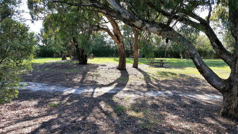 Mt Lindsay Rotary Park - Accommodation NSW 1