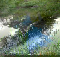 Mullion Range State Conservation Area - Accommodation NSW