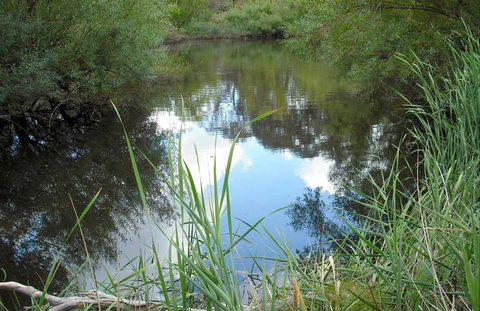 Mullion Range State Conservation Area - Accommodation NSW 0