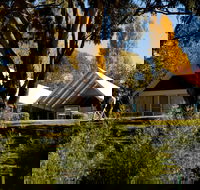 Orange Botanic Gardens - Accommodation NSW