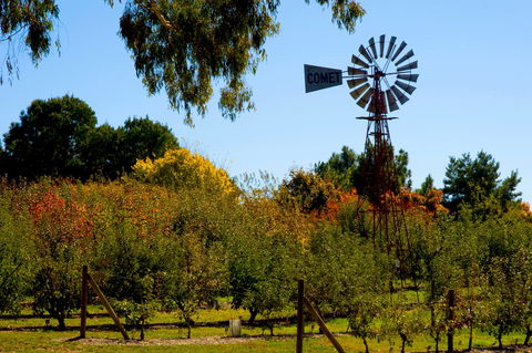 Orange Botanic Gardens - Accommodation NSW 2