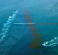 Port Noarlunga Reef Sanctuary Zone - Encounter Marine Park - Accommodation NSW