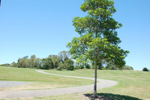 Samford Valley Rail Trail - Accommodation NSW 2
