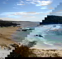 Snorkelling Mystery Bay - Accommodation NSW