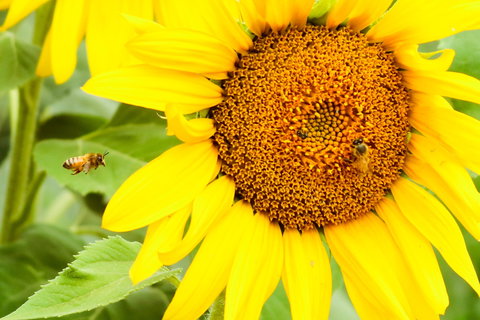 Splitters Farm - Accommodation NSW 1