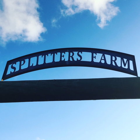 Splitters Farm - Accommodation NSW 2