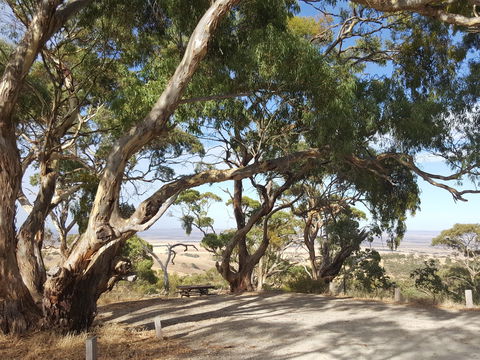 Spring Gully Conservation Park - Accommodation NSW 0