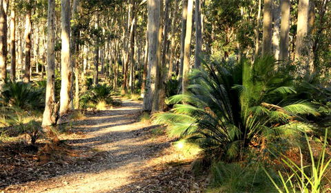 Square Head Track 2 - Accommodation NSW 0