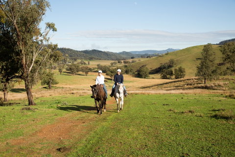 Tamworth And Kootingal Horse Riding Adventures - Accommodation NSW 0