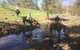 Tamworth And Kootingal Horse Riding Adventures - thumb 2