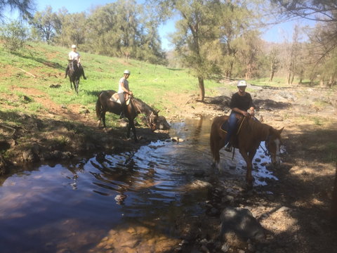 Tamworth And Kootingal Horse Riding Adventures - Accommodation NSW 2
