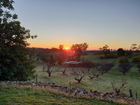 Taralee Orchards - Accommodation NSW 1