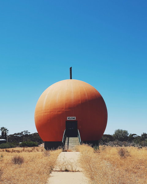 The Big Orange - Accommodation NSW 0
