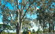 TYTO Wetlands - thumb 1