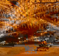 Victory Memorial Gardens - Accommodation NSW