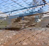 Aboriginal Carvings - Accommodation NSW