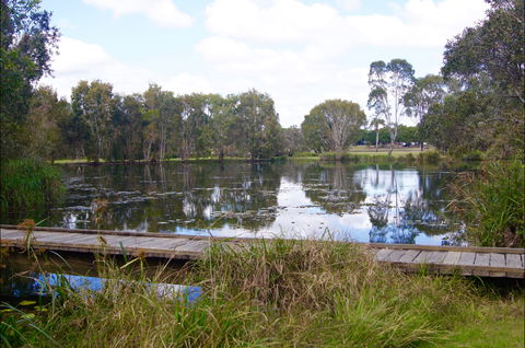 Baldwin Swamp Environmental Park - Accommodation NSW 0