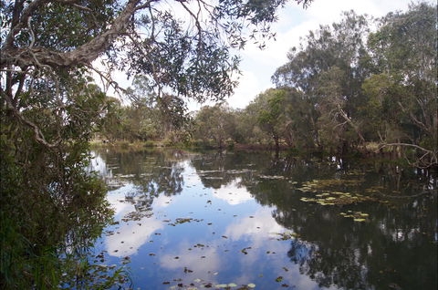 Baldwin Swamp Environmental Park - Accommodation NSW 2