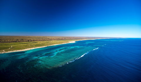 Best Of The Coral Coast - Accommodation NSW 2