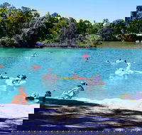 Black Diamond Lake - Accommodation NSW