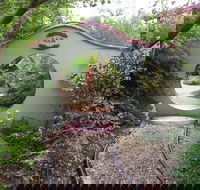 Black Dragon Gardens Wulong Yuan - Accommodation NSW