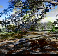 Bowen Mountain Park - Accommodation NSW