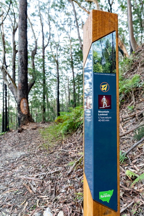 Bulahdelah Mountain Aboriginal Place - Accommodation NSW 0
