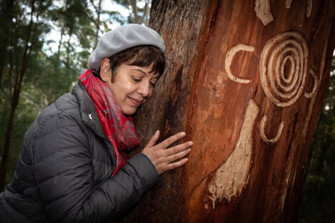 Bulahdelah Mountain Aboriginal Place - Accommodation NSW 1