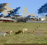 Calmsley Hill City Farm - Accommodation NSW