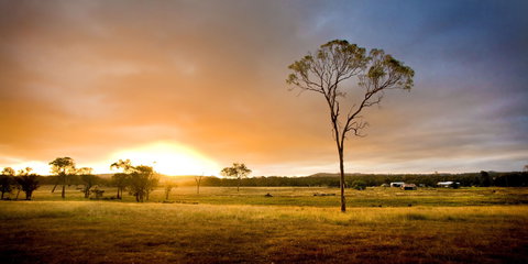 Cooyar - Accommodation NSW 0