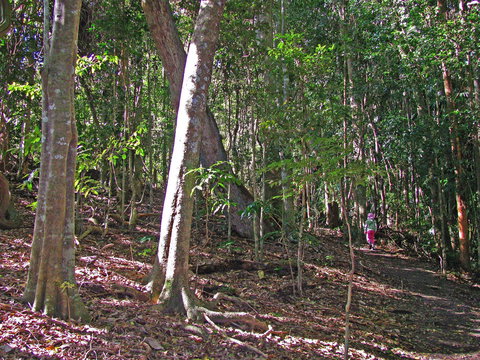 Cooyar - Accommodation NSW 1