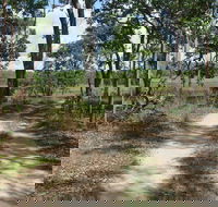 Djukbinj National Park - Accommodation NSW