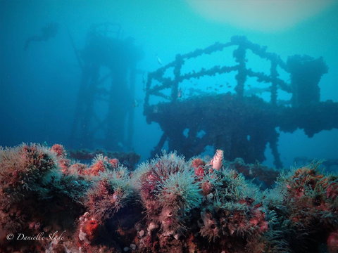 Ex HMAS Adelaide - Accommodation NSW 0