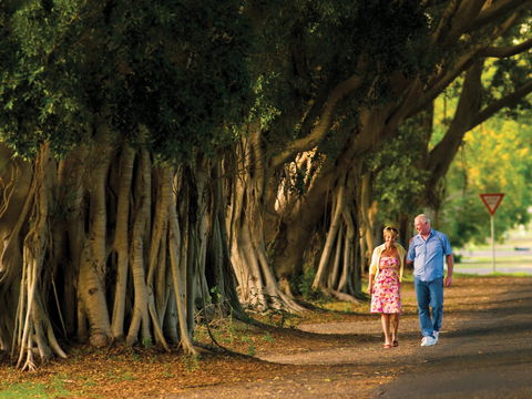 Fig Tree Avenue - Accommodation NSW 1