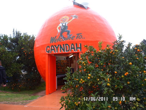 Gayndah's Big Orange - Accommodation NSW 2