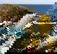 Green Island Walking Track - Accommodation NSW