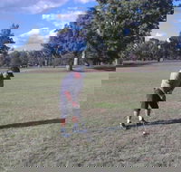 Inverell Golf Club - Accommodation NSW