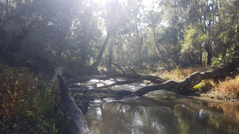 Kaluna Park - Accommodation NSW 1