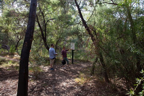 Kaluna Park - Accommodation NSW 2