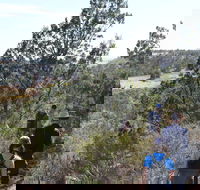 Kinchina Conservation Park - Accommodation NSW