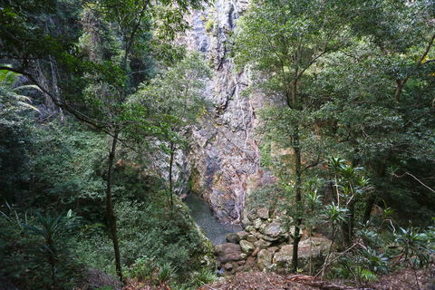 Kondalilla Falls Circuit, Kondalilla National Park - Accommodation NSW 0
