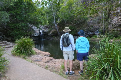 Kondalilla Falls Circuit, Kondalilla National Park - Accommodation NSW 1