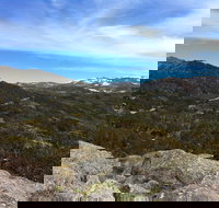 Kosciuszko National Park Charlottes Pass to Snowy River - Accommodation NSW