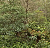 Lind National Park - Accommodation NSW