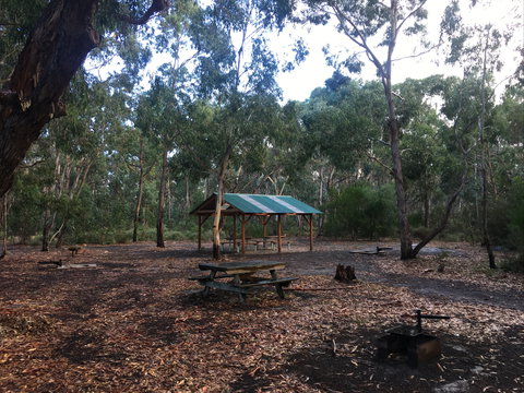 Long Lead Picnic Area And Campground - Accommodation NSW 0