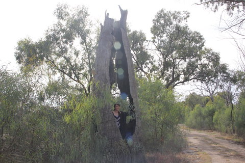 Martin Bend Wetland And Walking Trail - Accommodation NSW 1