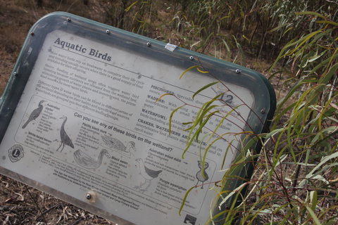 Martin Bend Wetland And Walking Trail - Accommodation NSW 2