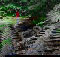 Montezuma Falls - Accommodation NSW