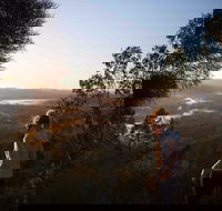Mount Arthur Reserve - Accommodation NSW