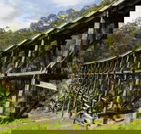 Noojee Trestle Bridge - Accommodation NSW